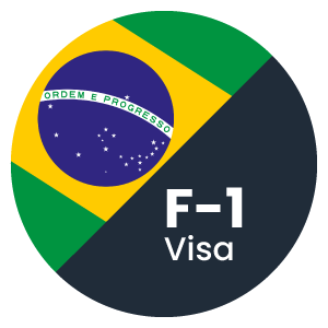 DS160-Testimonial-Country